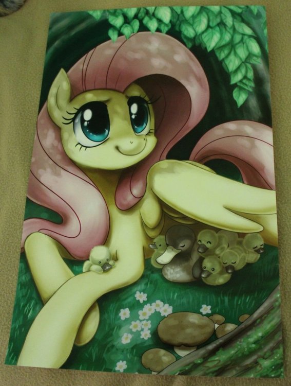 john_joseco_fluttershy_print_by_eillahwolf-d6cl9cn.thumb.jpg.bbc34d5ea0d2cf1174c1bec880bc3805.jpg