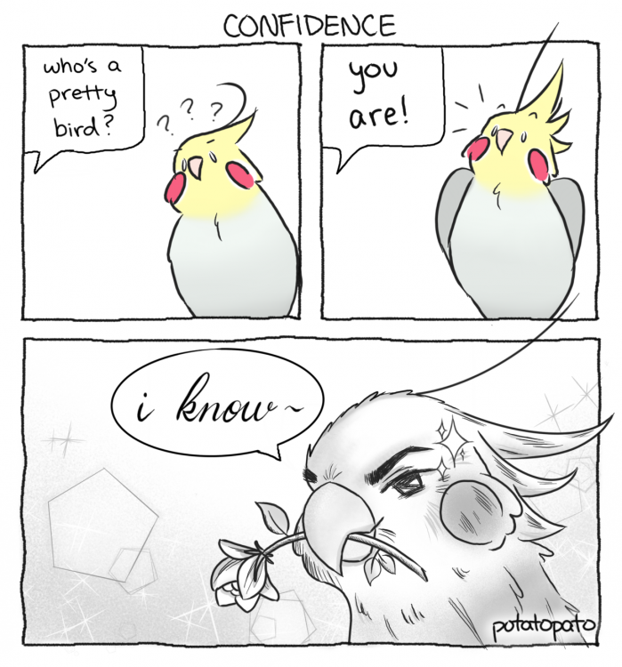 tumblr_pbte04Ao551tq3b2mo1_r1_1280.png