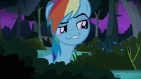 Rainbow_Dash_hiding_S4E04.png.fe8d7a03539cbe5dbe98644a256e3ad8.png