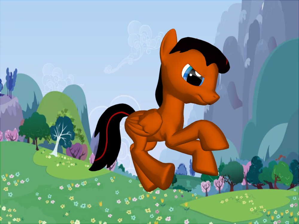 pony.png