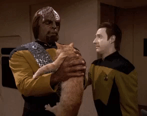 3Ky03sK.gif.9e322c623a373ef6e398f5f1869d448d.gif