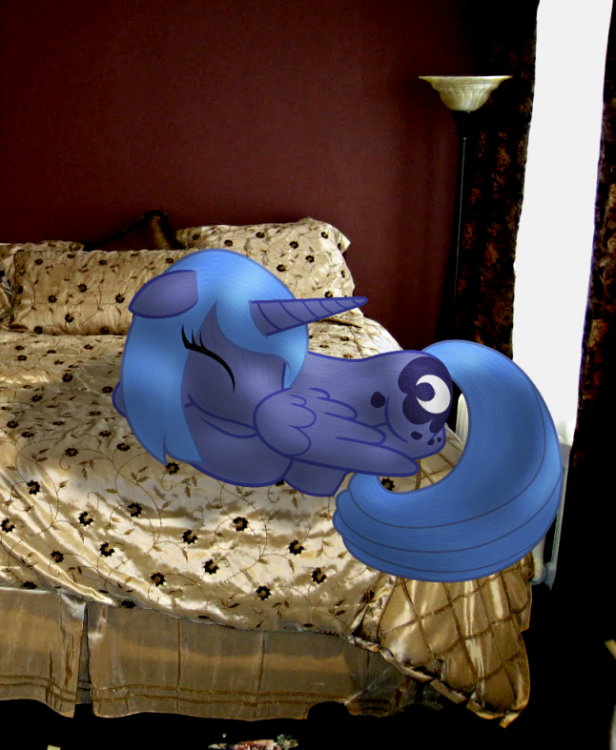 565701303_70676__artistneeded_sourceneeded_safe_princessluna_bed_photo_poniesinreallife_pony_s1luna_sleeping_solo_vector.thumb.png.74df5e065b3c15a1dc4164b6d1594873.png