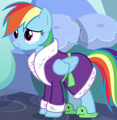 Rainbow_Dash_robe_and_slippers_ID_S5E5.png