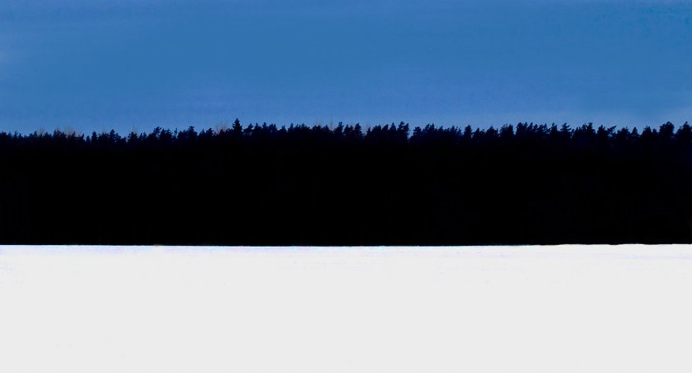 Estonian_flag_winter_forest.thumb.jpg.ab5e5a09a54babde3cf348568ba8c40e.jpg