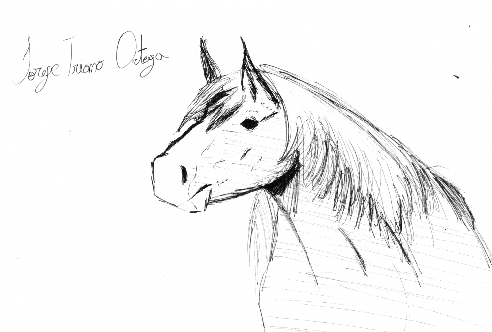 horse.thumb.png.cb29ab3fa96e6dfd2747a74d148e3d58.png