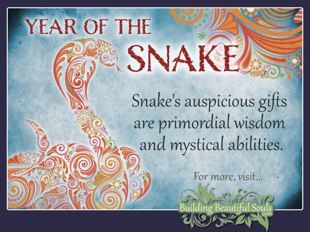 Chinese-Zodiac-Snake-Year-of-the-Snake-1280x960-1200x900.jpg