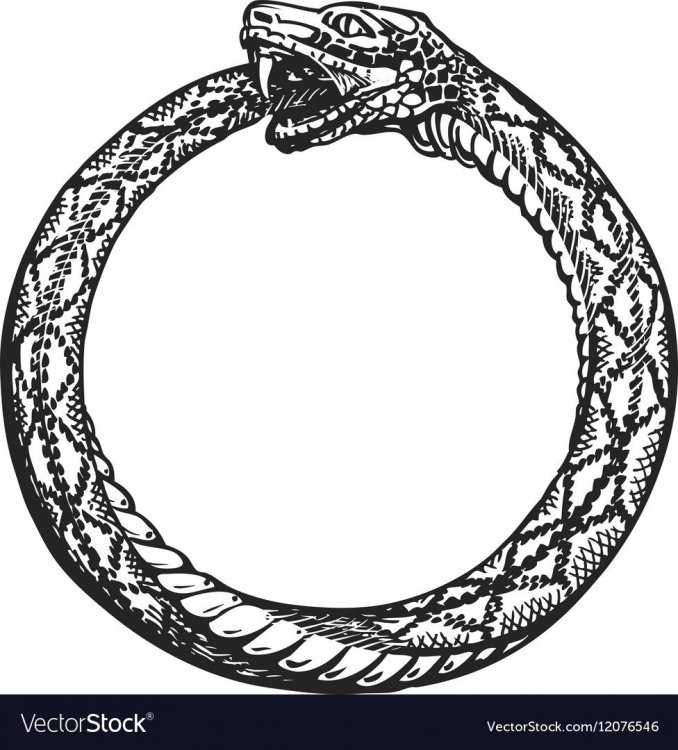 ouroboros-snake-eating-its-own-tail-eternity-or-vector-12076546.thumb.jpg.d773ad49b35ba6c42e872078dd61f30d.jpg