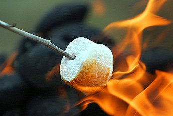 toasted-marshmallow-day.jpg.b211a97864e4fba5a99cebb6965a43b7.jpg