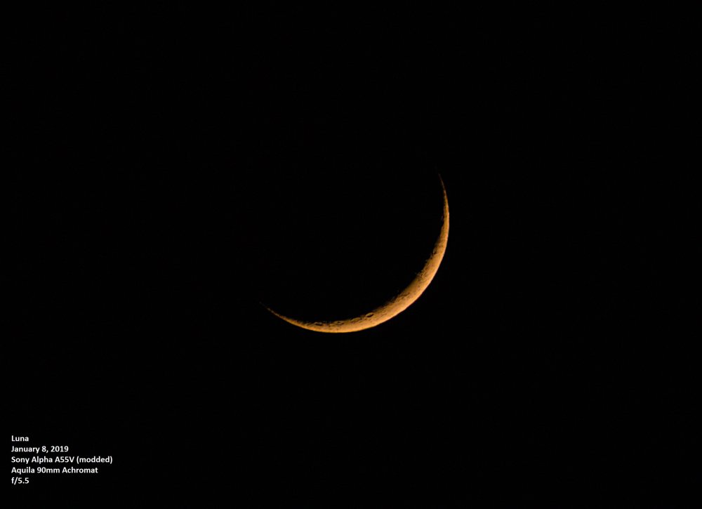 Crescent Moon_1-8-2019.jpg