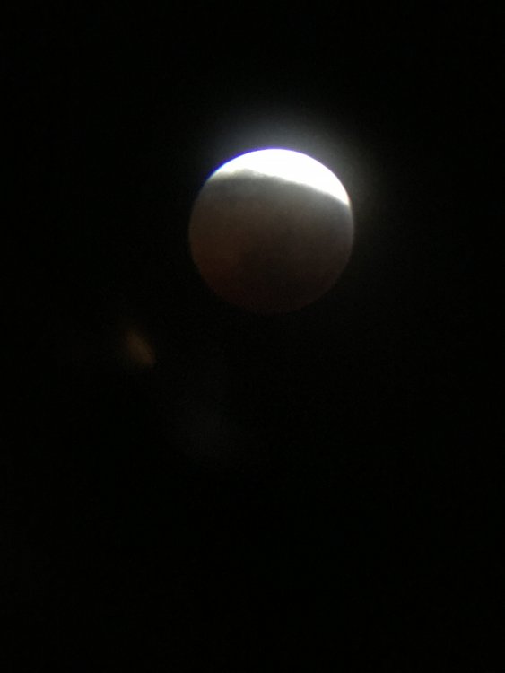 Lunar Eclipse 3.JPG
