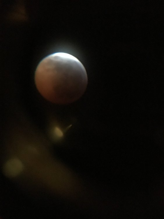 Lunar Eclipse 6.JPG