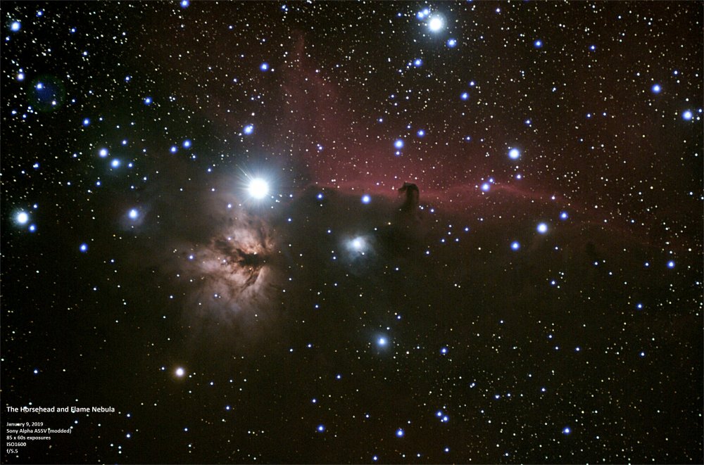 Horsehead Nebula_01-09-2019_Embed_AWB_GIMP.jpg