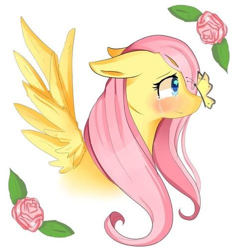 b75d0b96e0c80bb22606a1fe842511ea--discord-fluttershy.jpg.25c9099975b270aff9399e992d35e2a4.jpg