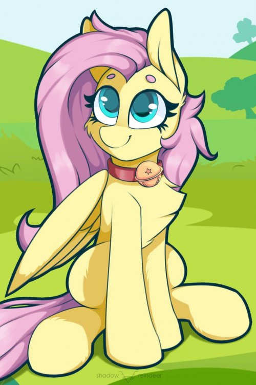 fluttershy_pet_by_shadowreindeer_dcxgwtv-pre.jpg