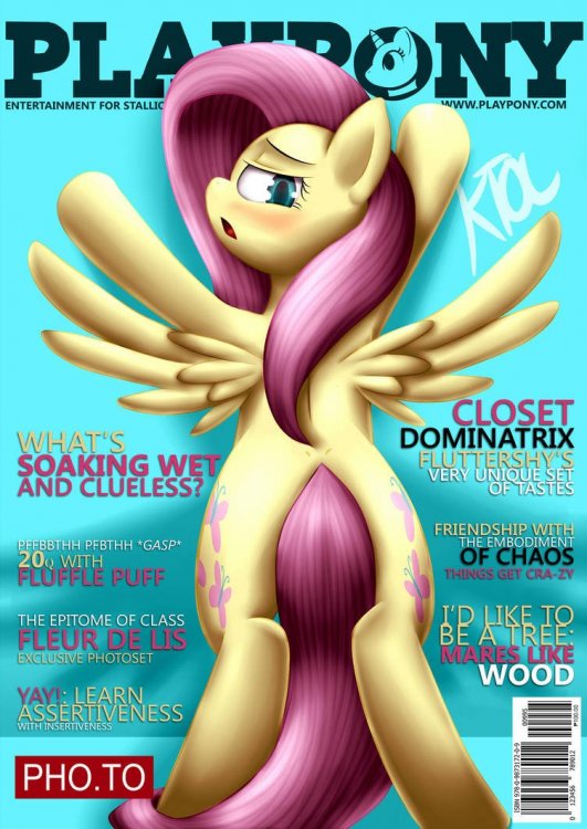 playpony___fluttershy_by_pshyzomancer_d8wchdn-pre.thumb.jpg.90bcb191c6d34f83b3f2a8d10c73522a.jpg