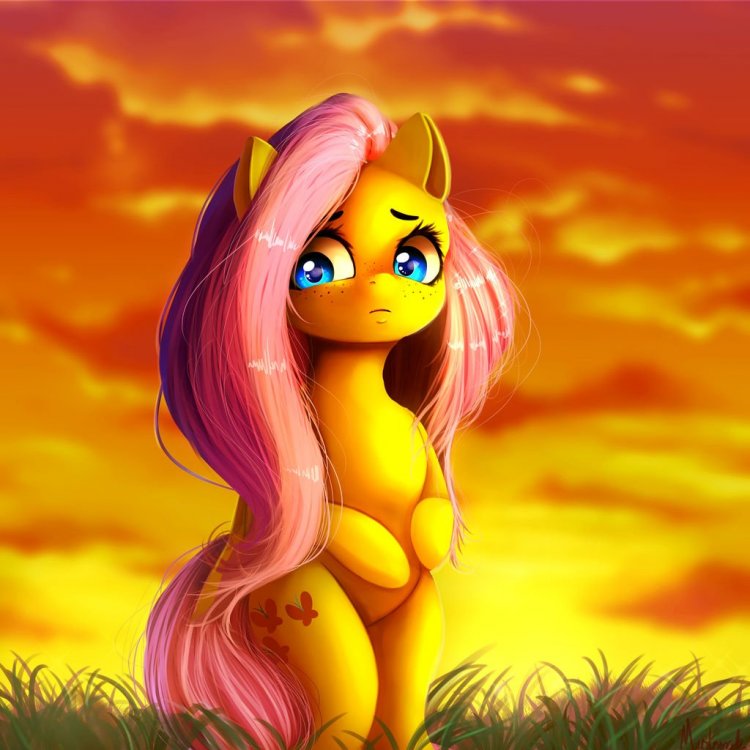 sunset_by_miokomata_dcfmtmj-fullview.thumb.jpg.28b02975092aae0ea7121a88f52114f5.jpg