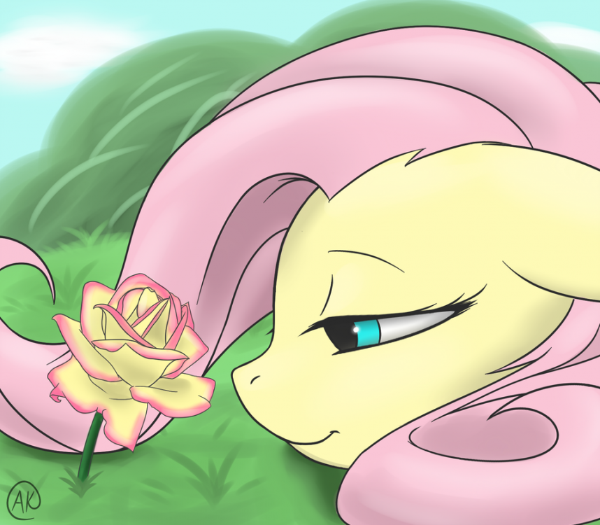 a_delicate_rose_by_thezealotnightmare_d6avsml-pre.thumb.png.4c3f45f30cbb8317743dfbd9a6891890.png