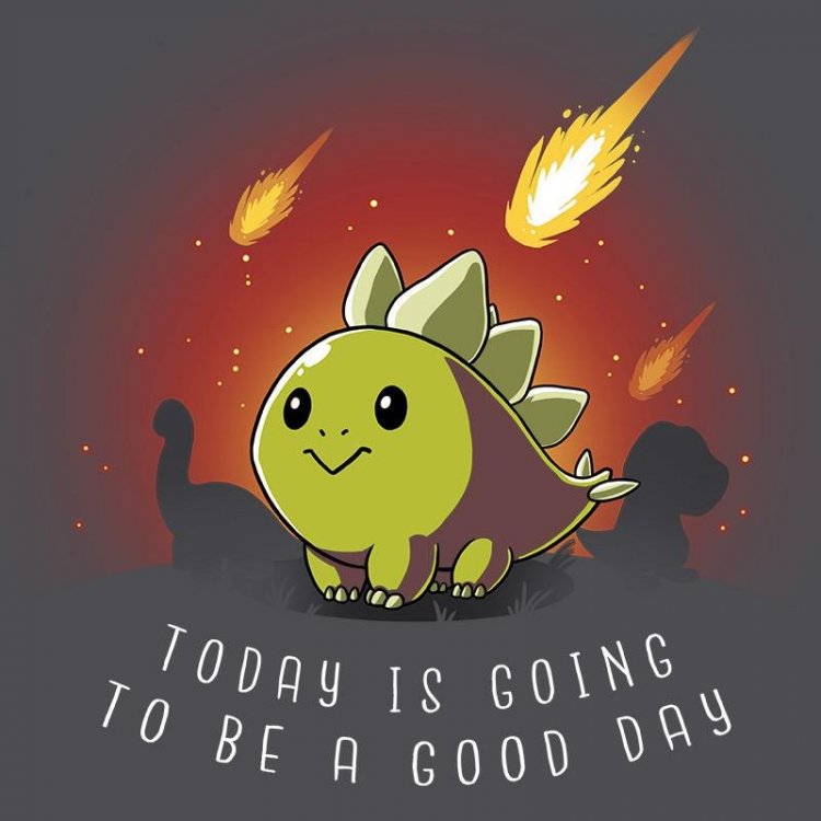 good-day-t-shirt-teeturtle_800x.jpg