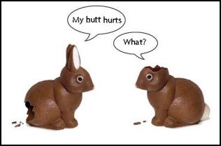 bunny_butt_hurts.jpg.a59930f81b141e7873b0f44afa782b1b.jpg