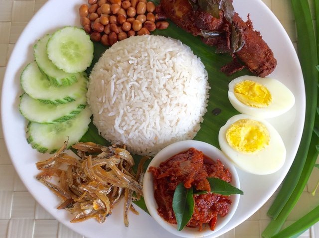 1795136399_nasilemak.jpg.9556d6372a7aa3061d6991b41345e91f.jpg