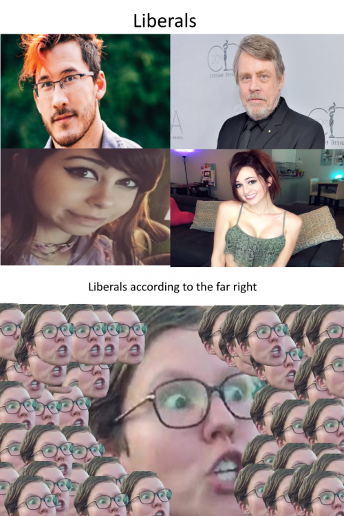 LiberalsVSLiberalsToFarRight.thumb.png.521e72698ba75697e7d95bee6d0bae48.png