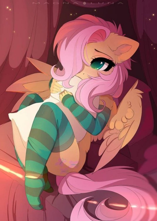 358772381_BedtimeFluttershy.thumb.jpg.0114f81e7246ee7479131f30962b124d.jpg