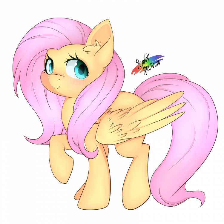 fluttershy_by_scarlet_spectrum_d9te550.thumb.png.02cfd9fef2c566b8713eb86ffc745a4a.png