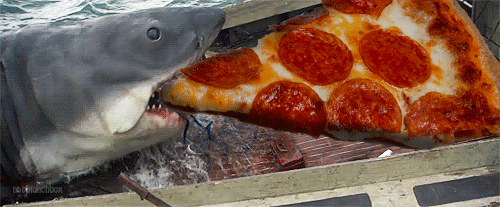 funny-shark-eats-pizze-animated-gif.gif.10d144a39f241011362319fb881d38e1.gif