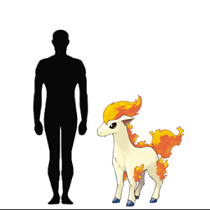 A_Ponyta_Height_Comparison.png.e67307c337aa58274453411471097246.png