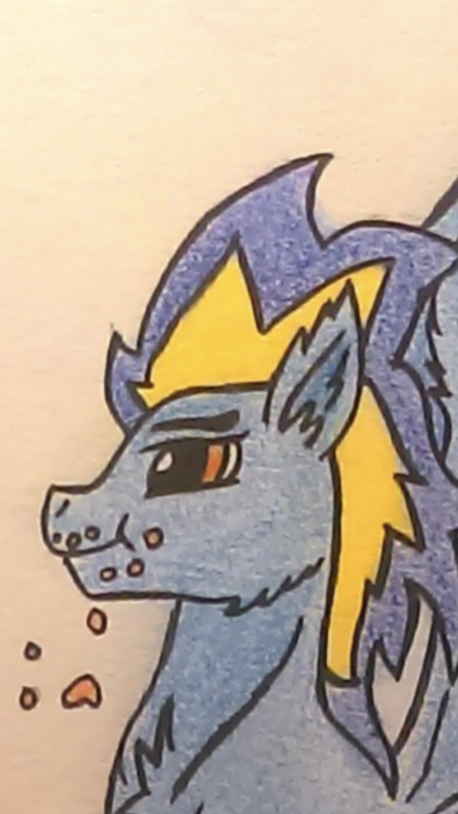 EA497B81-5D0F-4670-87A2-45D9ECDBAB0C.png