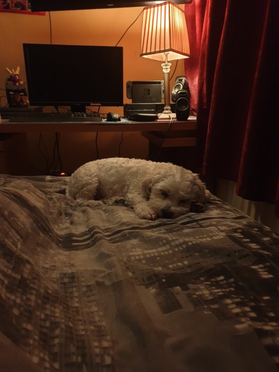 20191117_004203.jpg
