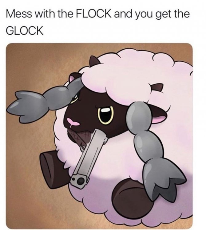 funny-wooloo-meme-that-says-mess-withe-the-flock-and-you-get-the-glock.jpg