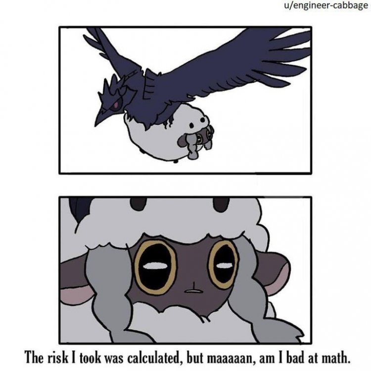 funny-wooloo-meme-that-says-the-risk-i-took-was-calculated-but-maaaan-am-i-bad-at-math.jpg