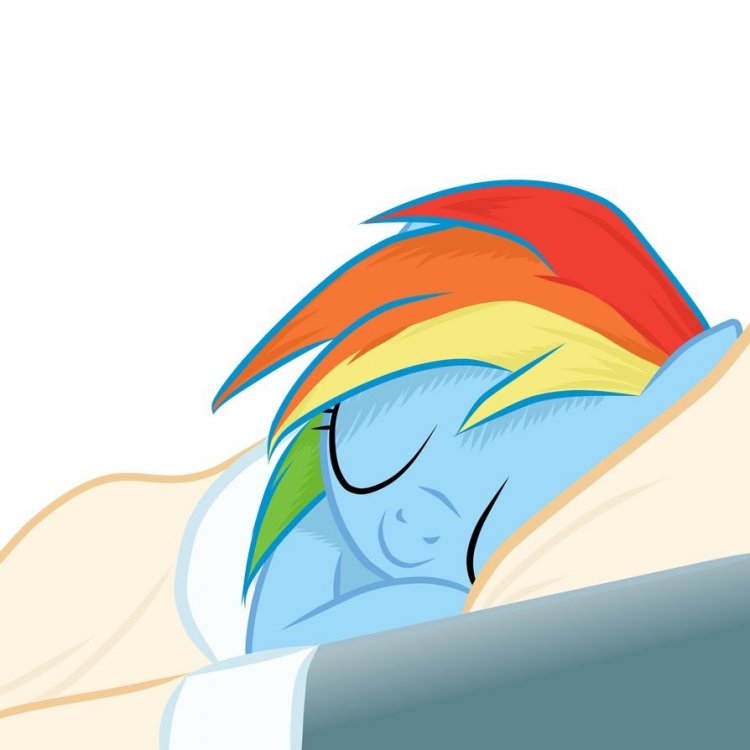 BAB61ECA-51A2-44D5-A63B-13C399D17390.thumb.jpeg.1553210756753b6f1af1147460ded9e2.jpeg