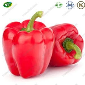 Wholesale-Natural-Sweet-Red-Paprika-Powder-Oleoresin-with-Pharmaceutical-Value.jpg.9cf78818aacb41e90b6f66d25e67a15e.jpg