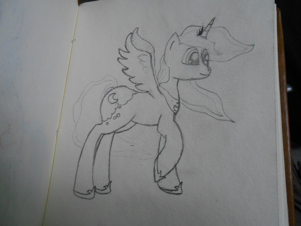 639122685_LunaSketch.thumb.JPG.648237c64e3989a5a6a20ddc01224fea.JPG