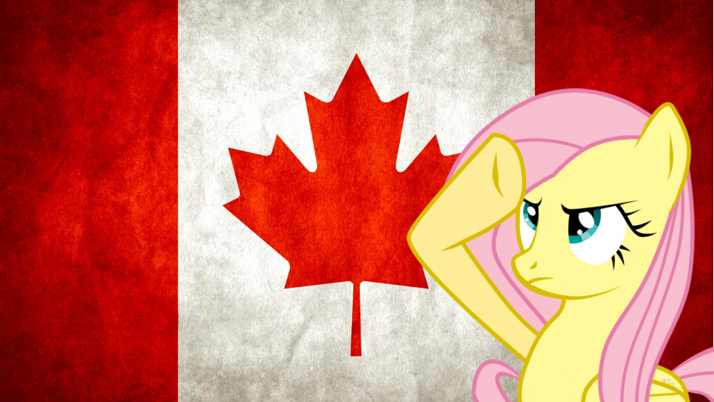 canada_salute___fluttershy_by_midnite99-d4ctf8q.png
