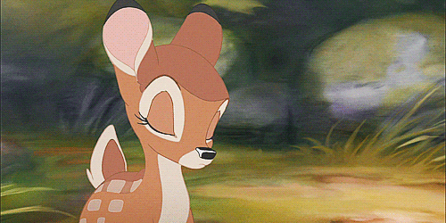 DF054500-CA87-4795-AB3B-EDC4B68C1590.gif.968b4d90b481b20cd39039c9d28ddff8.gif