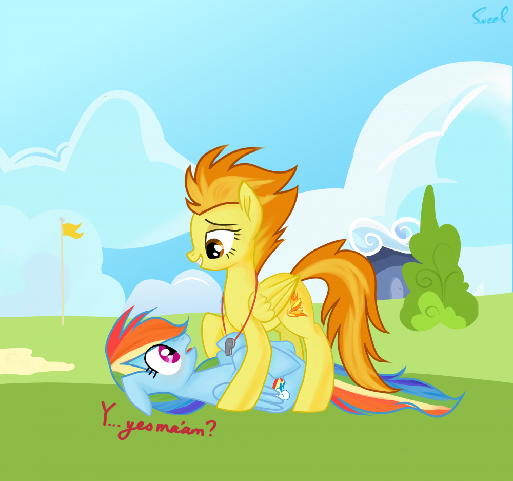 53847857_2345441__safe_artist-colon-eclipsaaa_rainbowdash_spitfire_pegasus_pony_wonderboltsacademy_f-bian_mare_onback_pinned_shipping_spitdash_wonderbolts.thumb.png.78e4fc5be1956d5f38b62038a0c363e1.png