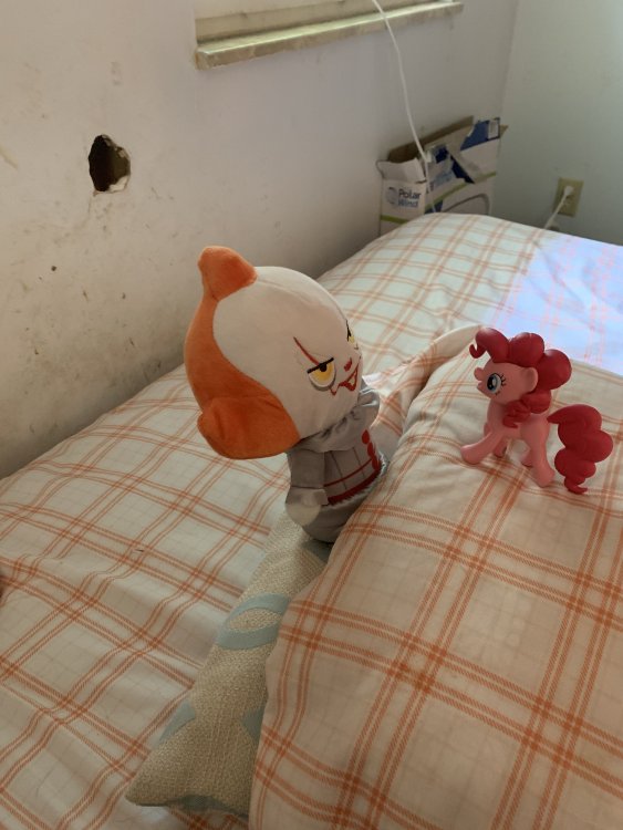 E1B42108-622A-4480-9E1D-FFCC21E40640.thumb.jpeg.a36662a4dbf3c42a6d651c04f6cf6041.jpeg