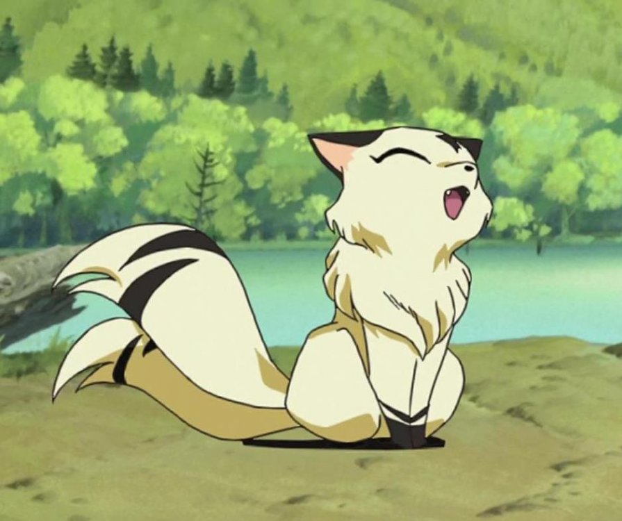 Kirara38.thumb.jpg.ac406819850152469db97027ac0c0127.jpg