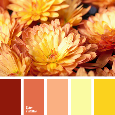 color-palette-2421.png