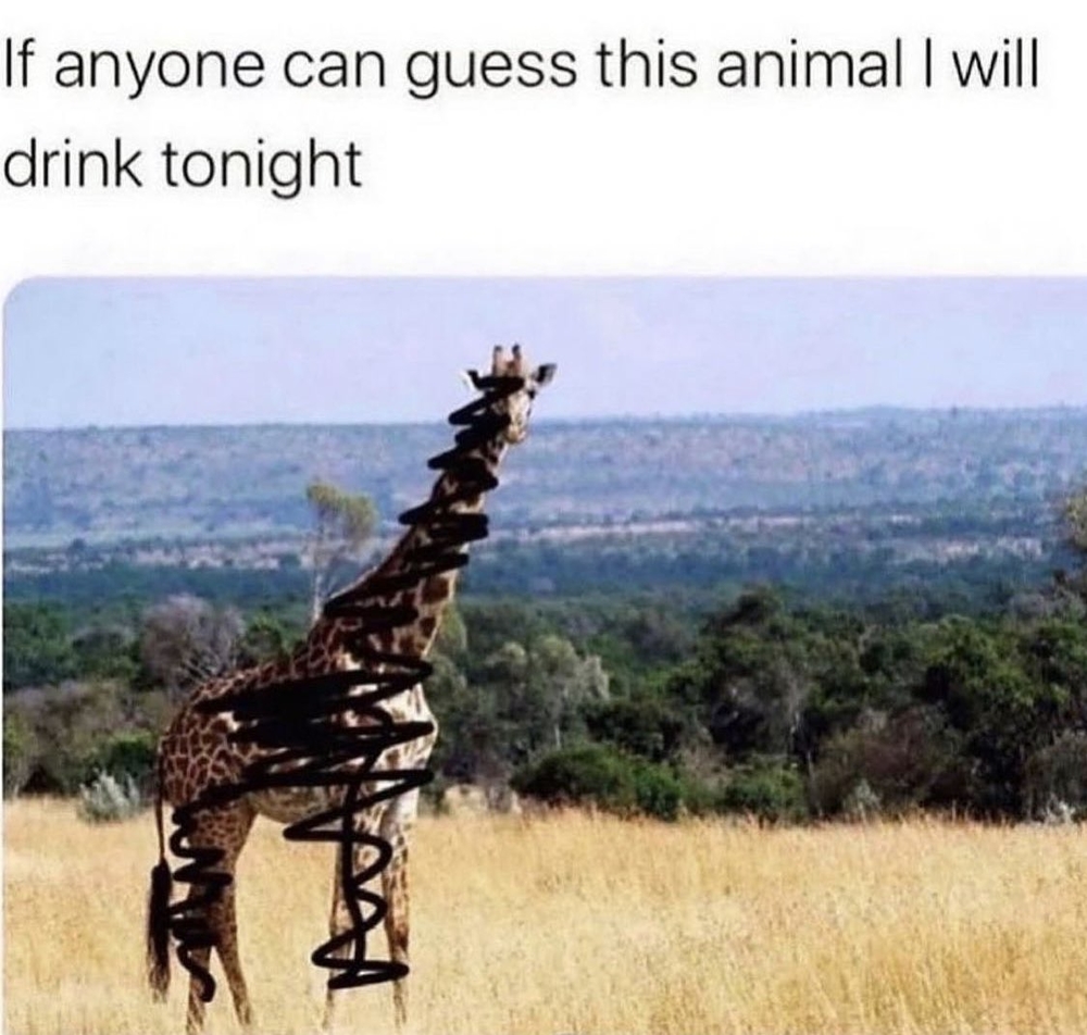 E1V2vZ0VcAcZS14.thumb.jpg.b006814497bc977a489636fb4efb3f3b.jpg