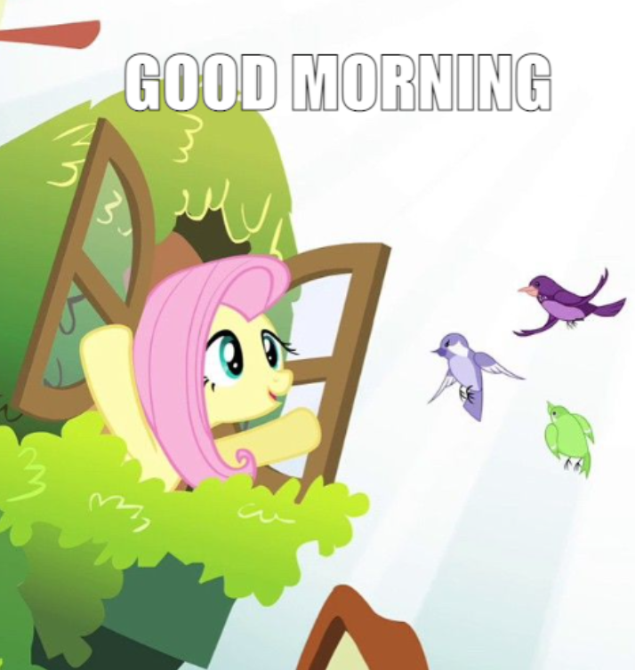 2034539158_goodmorning.PNG.f791c3859ab55ac21b07850af5a56c83.PNG