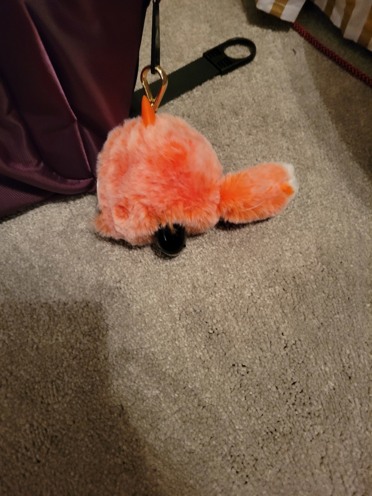 20210805_205440.thumb.jpg.f8b5153d7c281bee17db85855cfeb33c.jpg
