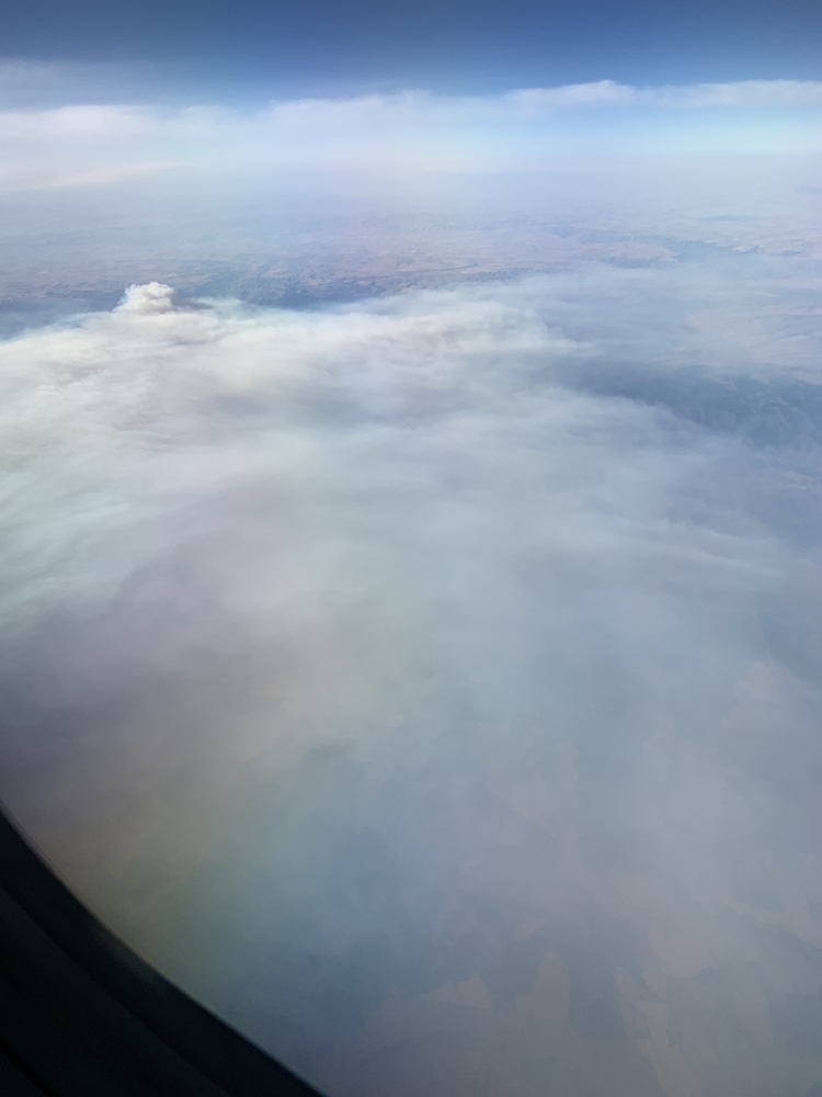 95AB6034-3E3F-4EE9-AD7B-9175EACDED4F.thumb.jpeg.6337a13bb514046f485375aea38396bf.jpeg