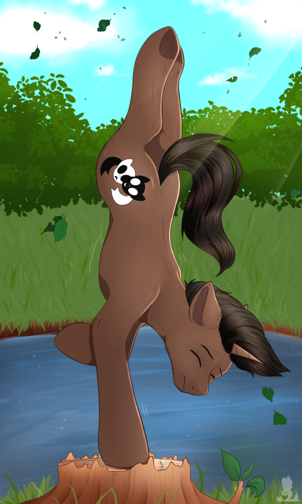 Meditation_in_the_pond.png