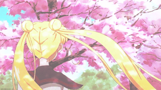 sailormoon.gif.f99243c07a2fa15290df2382ba77942a.gif