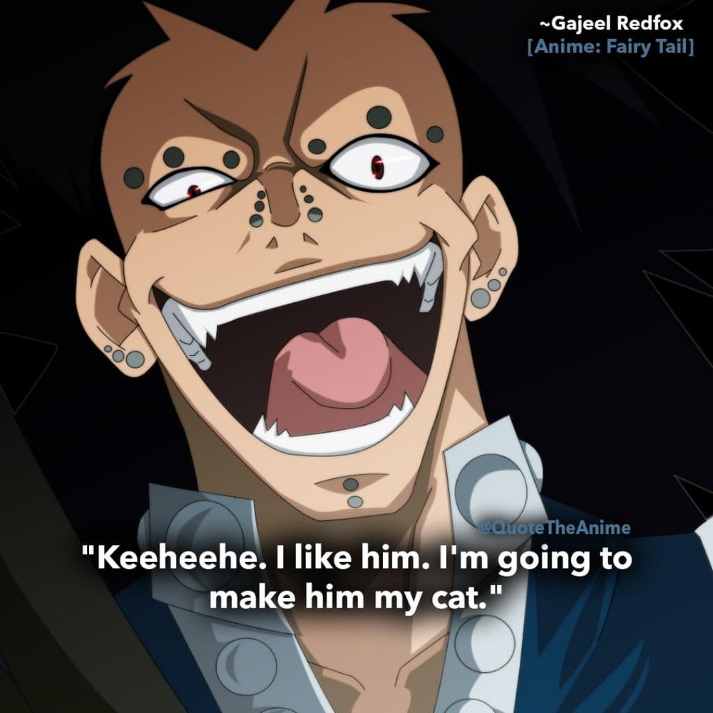 gajeel-quotes-redfox-quotes-fairy-tail-quotes-i-like-him-im-going-to-make-him-my-cat-1024x1024.jpg