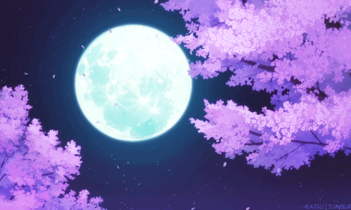 315b26be9d97a870db53b25a1c67657b.gif.d742684c5eeb6eee2ab964d0004024cf.gif